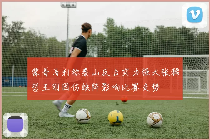 蒙哥马利称泰山反击实力强大张稀哲王刚因伤缺阵影响比赛走势